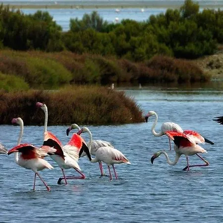 Bed & Breakfast Bellini