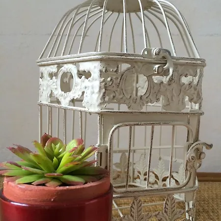 Bellini Bed & Breakfast Cagliari