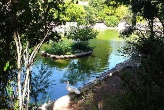 Bellini Кальяри